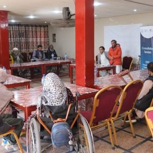 Provincial Consultation and Training Workshop on Disability Rights and Assistive Technology Held in Nowshera, KP